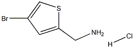 (4-BROMOTHIOPHEN-2-YL)METHANAMINEHCL Struktur