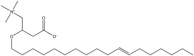 Vaccenyl carnitine Struktur