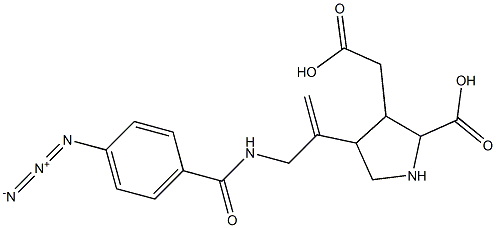 4-(1-(4-azidobenzamidomethyl)ethenyl)-2-carboxypyrrolidin-3-ylacetic acid Struktur