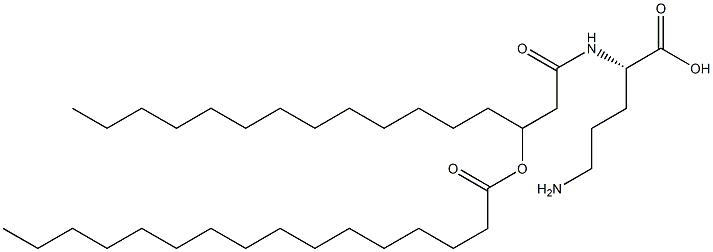 3-(hexadecanoyloxy)hexadecanoyl-ornithine Struktur