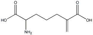 2-amino-6-methylenepimelic acid Struktur