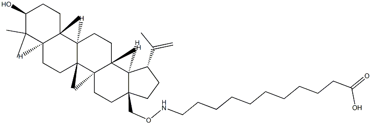 betulinylaminoundecanoic acid Struktur