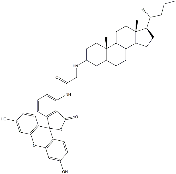 cholylglycylamidofluorescein Struktur