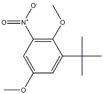 1,4-DIMETHOXY-2-TERT-BUTYL-6-NITROBENZENE Struktur