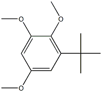 1,2,5-TRIMETHOXY-3-TERT-BUTYLBENZENE Struktur