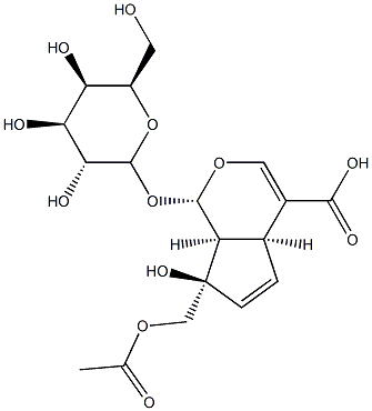 (1S,2S,6S,9R)-9-(acetyloxymethyl)-9-hydroxy-2-[(2S,3R,4S,5R,6R)-3,4,5-trihydroxy-6-(hydroxymethyl)oxan-2-yl]oxy-3-oxabicyclo[4.3.0]nona-4,7-diene-5-carboxylic acid Struktur