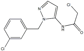 2-CHLORO-N-[1-(3-CHLOROBENZYL)-1H-PYRAZOL-5-YL]ACETAMIDE Struktur