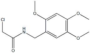 2-CHLORO-N-(2,4,5-TRIMETHOXYBENZYL)ACETAMIDE Struktur