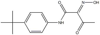 N-(4-TERT-BUTYL-PHENYL)-2-HYDROXYIMINO-3-OXO-BUTYRAMIDE Struktur