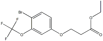 3-(4-BROMO-3-TRIFLUOROMETHOXY-PHENOXY)-PROPIONIC ACID ETHYL ESTER Struktur