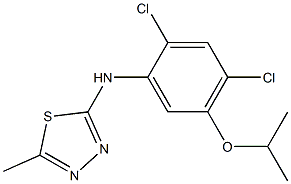 N-(2,4-dichloro-5-isopropoxyphenyl)-5-methyl-1,3,4-thiadiazol-2-amine Struktur