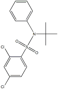 N-(tert-butyl)-2,4-dichloro-N-phenylbenzenesulfonamide Struktur