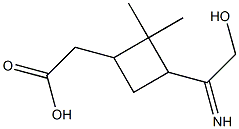 2-[3-(hydroxyethanimidoyl)-2,2-dimethylcyclobutyl]acetic acid Struktur