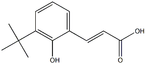 (E)-3-(3-tert-butyl-2-hydroxyphenyl)acrylic acid Struktur