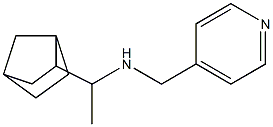 (1-{bicyclo[2.2.1]heptan-2-yl}ethyl)(pyridin-4-ylmethyl)amine Struktur