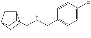 (1-{bicyclo[2.2.1]heptan-2-yl}ethyl)[(4-chlorophenyl)methyl]amine Struktur