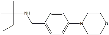 (2-methylbutan-2-yl)({[4-(morpholin-4-yl)phenyl]methyl})amine Struktur