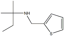 (2-methylbutan-2-yl)(thiophen-2-ylmethyl)amine Struktur