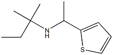 (2-methylbutan-2-yl)[1-(thiophen-2-yl)ethyl]amine Struktur