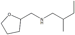 (2-methylbutyl)(oxolan-2-ylmethyl)amine Struktur