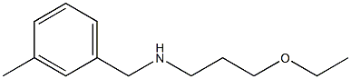 (3-ethoxypropyl)[(3-methylphenyl)methyl]amine Struktur