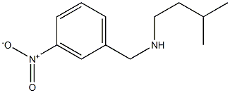 (3-methylbutyl)[(3-nitrophenyl)methyl]amine Struktur