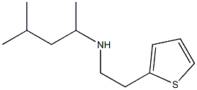 (4-methylpentan-2-yl)[2-(thiophen-2-yl)ethyl]amine Struktur