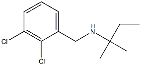 [(2,3-dichlorophenyl)methyl](2-methylbutan-2-yl)amine Struktur