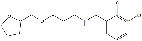 [(2,3-dichlorophenyl)methyl][3-(oxolan-2-ylmethoxy)propyl]amine Struktur