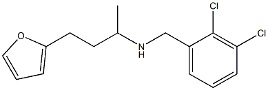 [(2,3-dichlorophenyl)methyl][4-(furan-2-yl)butan-2-yl]amine Struktur