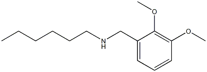 [(2,3-dimethoxyphenyl)methyl](hexyl)amine Struktur