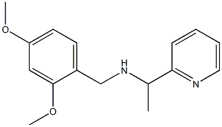 [(2,4-dimethoxyphenyl)methyl][1-(pyridin-2-yl)ethyl]amine Struktur