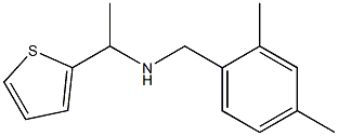 [(2,4-dimethylphenyl)methyl][1-(thiophen-2-yl)ethyl]amine Struktur