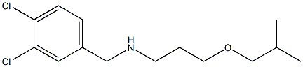 [(3,4-dichlorophenyl)methyl][3-(2-methylpropoxy)propyl]amine Struktur