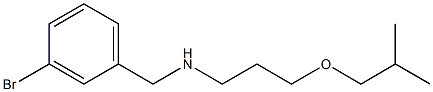 [(3-bromophenyl)methyl][3-(2-methylpropoxy)propyl]amine Struktur