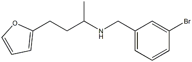 [(3-bromophenyl)methyl][4-(furan-2-yl)butan-2-yl]amine Struktur