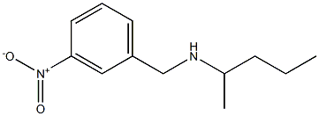 [(3-nitrophenyl)methyl](pentan-2-yl)amine Struktur