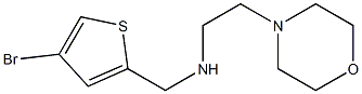 [(4-bromothiophen-2-yl)methyl][2-(morpholin-4-yl)ethyl]amine Struktur