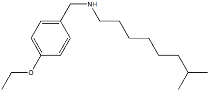 [(4-ethoxyphenyl)methyl](7-methyloctyl)amine Struktur