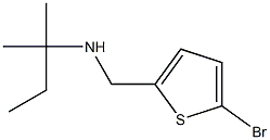 [(5-bromothiophen-2-yl)methyl](2-methylbutan-2-yl)amine Struktur