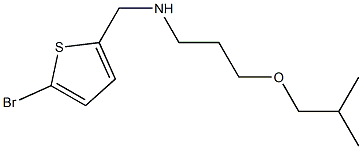 [(5-bromothiophen-2-yl)methyl][3-(2-methylpropoxy)propyl]amine Struktur