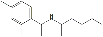 [1-(2,4-dimethylphenyl)ethyl](5-methylhexan-2-yl)amine Struktur