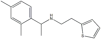 [1-(2,4-dimethylphenyl)ethyl][2-(thiophen-2-yl)ethyl]amine Struktur