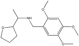 [1-(oxolan-2-yl)ethyl][(2,4,5-trimethoxyphenyl)methyl]amine Struktur