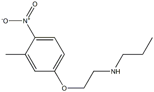 [2-(3-methyl-4-nitrophenoxy)ethyl](propyl)amine Struktur