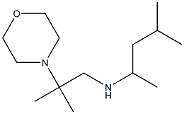 [2-methyl-2-(morpholin-4-yl)propyl](4-methylpentan-2-yl)amine Struktur