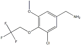 [3-chloro-5-methoxy-4-(2,2,2-trifluoroethoxy)phenyl]methanamine Struktur