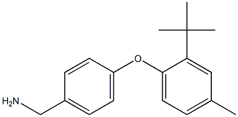 [4-(2-tert-butyl-4-methylphenoxy)phenyl]methanamine Struktur