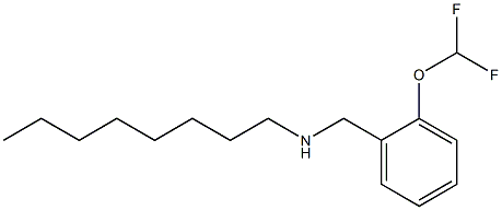 {[2-(difluoromethoxy)phenyl]methyl}(octyl)amine Struktur