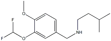 {[3-(difluoromethoxy)-4-methoxyphenyl]methyl}(3-methylbutyl)amine Struktur